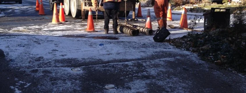 SP16-173-10_-219-to-226-Roslin-Avenue-e1531693710701-845x321